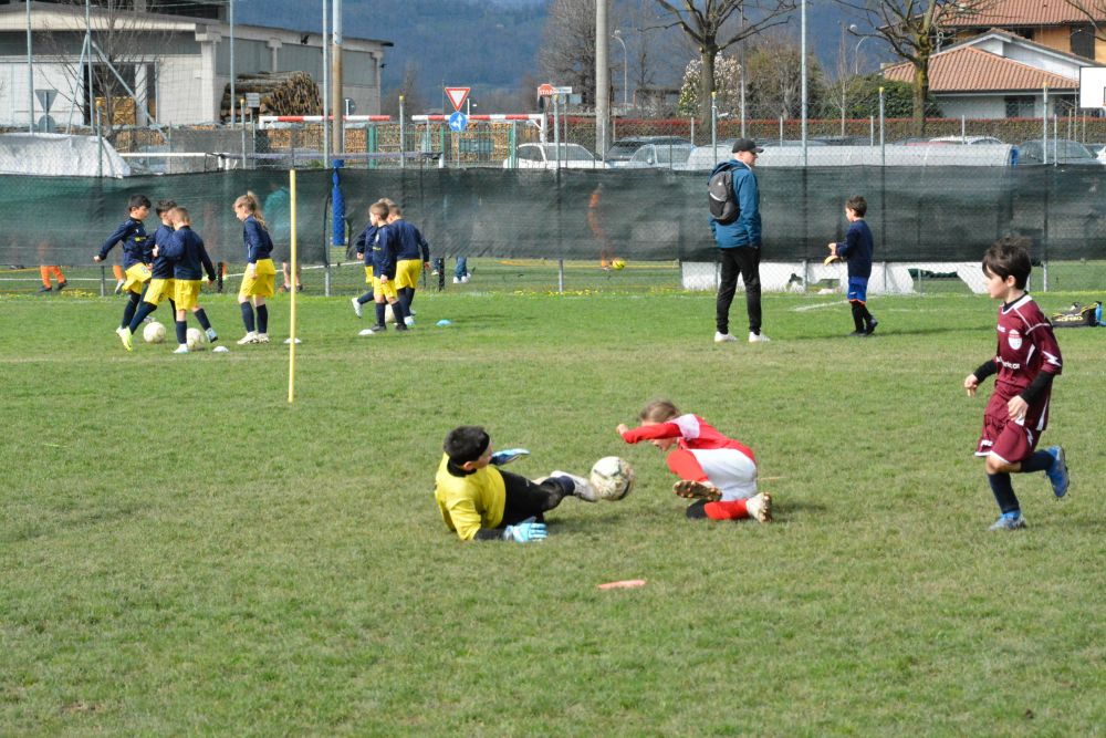 16/03/2025 Bonate Sotto