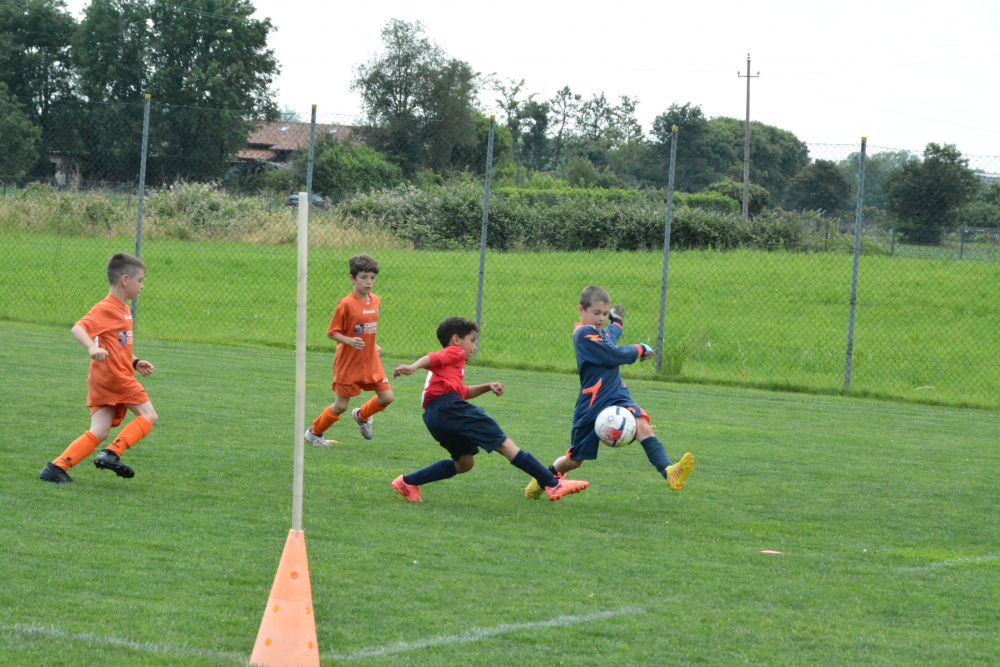 Bonate Sotto 24/05/2025